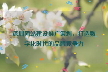 深圳網站建設推廣策劃，打造數(shù)字化時代的品牌競爭力