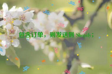 包含訂單，則發(fā)送到 Shopify；