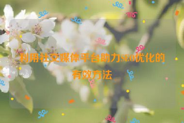 利用社交媒體平臺助力SEO優(yōu)化的有效方法