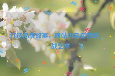 打造品牌故事，網(wǎng)站內(nèi)容運營的實戰(zhàn)藝術(shù)