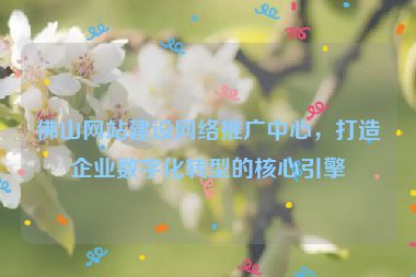 佛山網(wǎng)站建設(shè)網(wǎng)絡(luò)推廣中心，打造企業(yè)數(shù)字化轉(zhuǎn)型的核心引擎