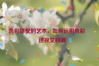 色彩搭配的藝術(shù)，如何運(yùn)用色彩創(chuàng)造視覺(jué)和諧