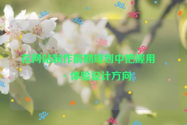 在網(wǎng)站制作前期規(guī)劃中把握用戶體驗設(shè)計方向