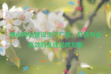 佛山網(wǎng)站建設(shè)生產(chǎn)廠家，打造專業(yè)高效的在線品牌形象