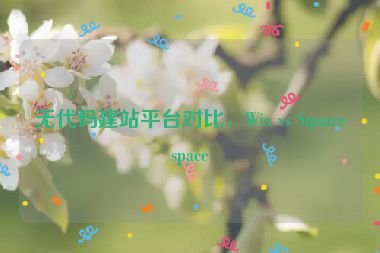無代碼建站平臺對比，Wix vs Squarespace