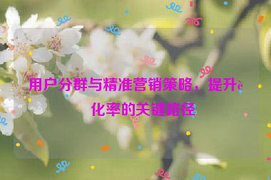 用戶分群與精準(zhǔn)營銷策略，提升轉(zhuǎn)化率的關(guān)鍵路徑