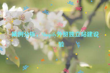 案例分析，Shopify外貿(mào)獨立站建設(shè)經(jīng)驗