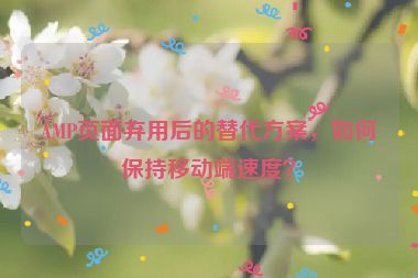 AMP頁面棄用后的替代方案，如何保持移動端速度？