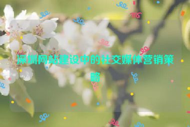深圳網(wǎng)站建設(shè)中的社交媒體營(yíng)銷(xiāo)策略