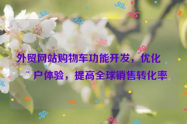 外貿(mào)網(wǎng)站購物車功能開發(fā)，優(yōu)化用戶體驗，提高全球銷售轉(zhuǎn)化率