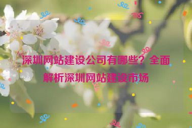 深圳網(wǎng)站建設公司有哪些？全面解析深圳網(wǎng)站建設市場
