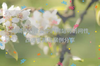 深圳網(wǎng)站建設(shè)中的網(wǎng)站可訪問性改進實踐與案例分享