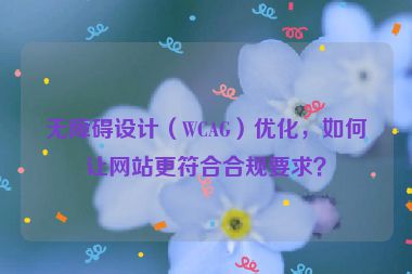 無(wú)障礙設(shè)計(jì)（WCAG）優(yōu)化，如何讓網(wǎng)站更符合合規(guī)要求？