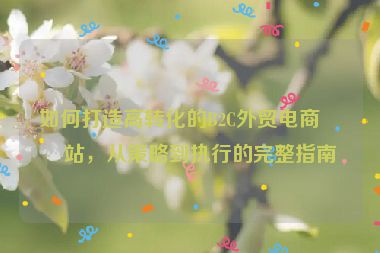 如何打造高轉(zhuǎn)化的B2C外貿(mào)電商網(wǎng)站，從策略到執(zhí)行的完整指南