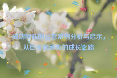 成功網(wǎng)站的運營案例分析與啟示，從巨頭到新秀的成長之路