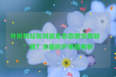 外貿(mào)網(wǎng)站如何避免惡意爬蟲抓取數(shù)據(jù)？全面防護(hù)策略解析