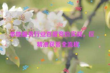 本地服務(wù)行業(yè)百度競價實戰(zhàn)，區(qū)域精準(zhǔn)獲客全流程