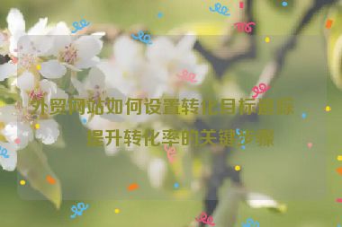 外貿(mào)網(wǎng)站如何設置轉化目標追蹤？提升轉化率的關鍵步驟