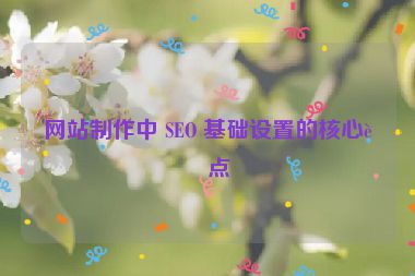 網(wǎng)站制作中 SEO 基礎(chǔ)設(shè)置的核心要點(diǎn)