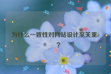 為什么一致性對網(wǎng)站設(shè)計至關(guān)重要？