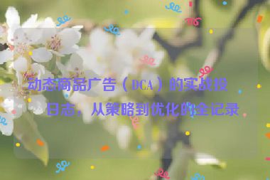 動態(tài)商品廣告（DCA）的實(shí)戰(zhàn)投放日志，從策略到優(yōu)化的全記錄