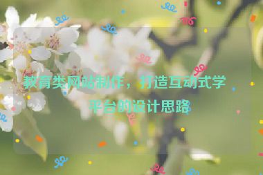 教育類網(wǎng)站制作，打造互動式學(xué)習(xí)平臺的設(shè)計思路