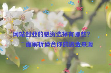 網(wǎng)站創(chuàng)業(yè)的融資選擇有哪些？全面解析適合你的資金來(lái)源