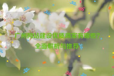 廣州網(wǎng)站建設(shè)優(yōu)質(zhì)商家有哪些？全面解析與推薦