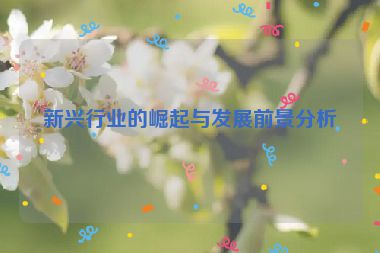新興行業(yè)的崛起與發(fā)展前景分析