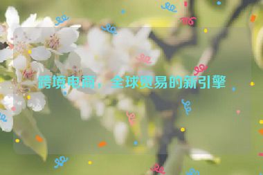 跨境電商，全球貿(mào)易的新引擎