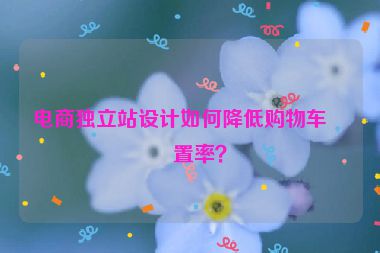 電商獨(dú)立站設(shè)計(jì)如何降低購(gòu)物車(chē)棄置率？