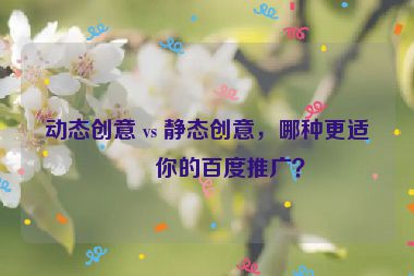 動態(tài)創(chuàng)意 vs 靜態(tài)創(chuàng)意，哪種更適合你的百度推廣？
