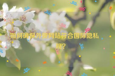 如何確保外貿(mào)網(wǎng)站符合國際隱私法規(guī)？