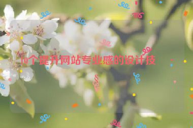 10個提升網(wǎng)站專業(yè)感的設(shè)計技巧