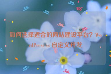 如何選擇適合的網(wǎng)站建設(shè)平臺(tái)？WordPress vs 自定義開(kāi)發(fā)