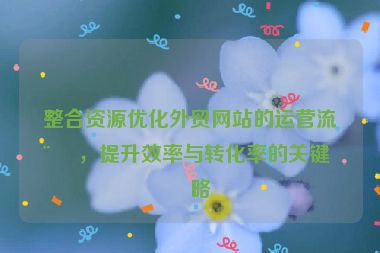 整合資源優(yōu)化外貿(mào)網(wǎng)站的運(yùn)營流程，提升效率與轉(zhuǎn)化率的關(guān)鍵策略