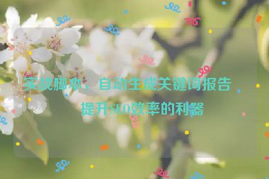 實(shí)戰(zhàn)腳本，自動(dòng)生成關(guān)鍵詞報(bào)告—提升SEO效率的利器