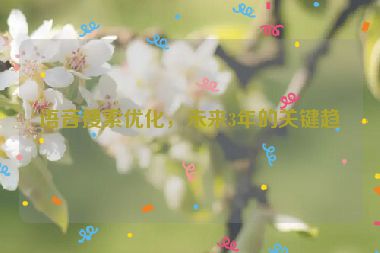 語音搜索優(yōu)化，未來3年的關鍵趨勢