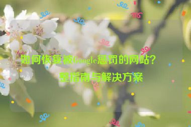 如何恢復(fù)被Google懲罰的網(wǎng)站？完整指南與解決方案