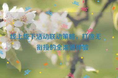 線上線下活動聯(lián)動策略，打造無縫銜接的全渠道體驗