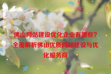 佛山網(wǎng)站建設優(yōu)化企業(yè)有哪些？全面解析佛山優(yōu)質網(wǎng)站建設與優(yōu)化服務商
