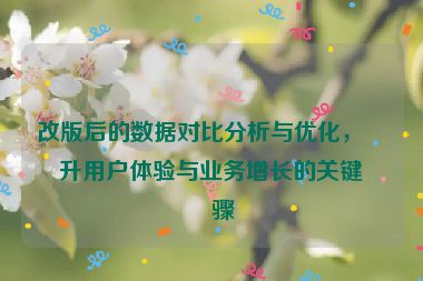 改版后的數(shù)據(jù)對(duì)比分析與優(yōu)化，提升用戶(hù)體驗(yàn)與業(yè)務(wù)增長(zhǎng)的關(guān)鍵步驟