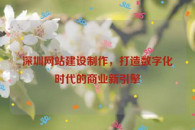 深圳網(wǎng)站建設(shè)制作，打造數(shù)字化時代的商業(yè)新引擎