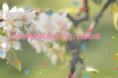 SEO友好型網(wǎng)站設(shè)計(jì)的5個(gè)核心原則