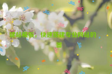 建站模板，快速搭建專業(yè)網(wǎng)站的利器