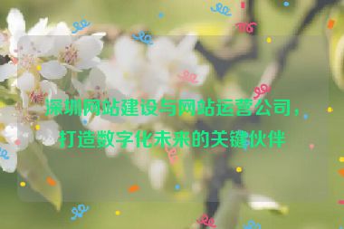 深圳網(wǎng)站建設(shè)與網(wǎng)站運(yùn)營(yíng)公司，打造數(shù)字化未來(lái)的關(guān)鍵伙伴