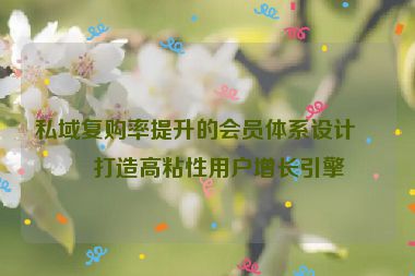 私域復(fù)購(gòu)率提升的會(huì)員體系設(shè)計(jì)，打造高粘性用戶增長(zhǎng)引擎