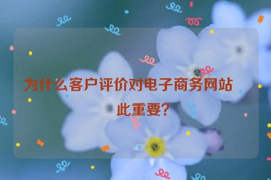 為什么客戶評價對電子商務(wù)網(wǎng)站如此重要？