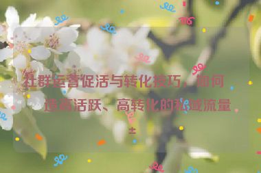 社群運營促活與轉(zhuǎn)化技巧，如何打造高活躍、高轉(zhuǎn)化的私域流量池