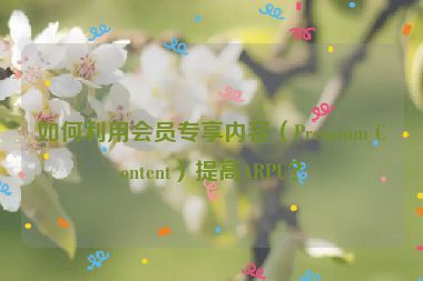如何利用會員專享內(nèi)容（Premium Content）提高ARPU？